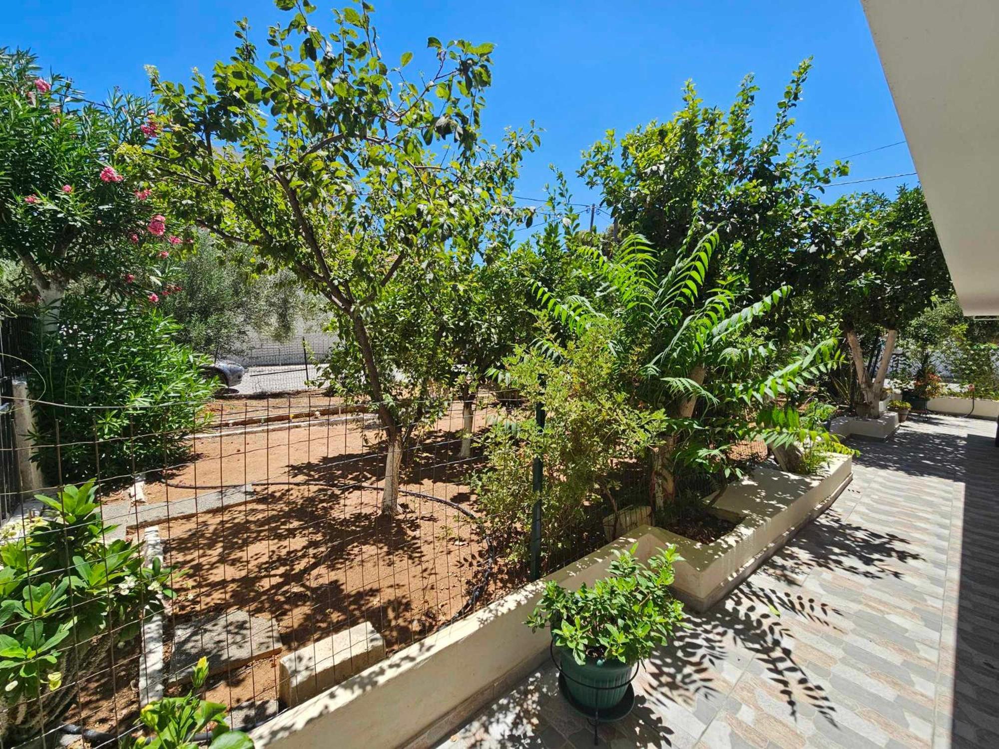 Apartment Melograno